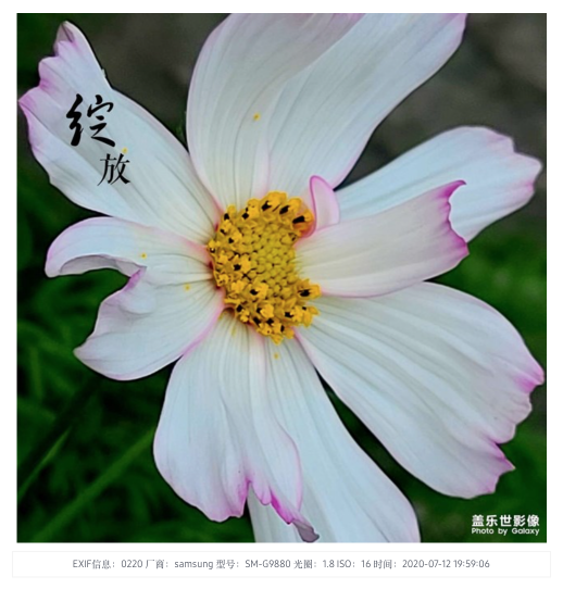 清晰記錄更多精彩 三星Galaxy S20 5G系列為你成就藝術佳作
