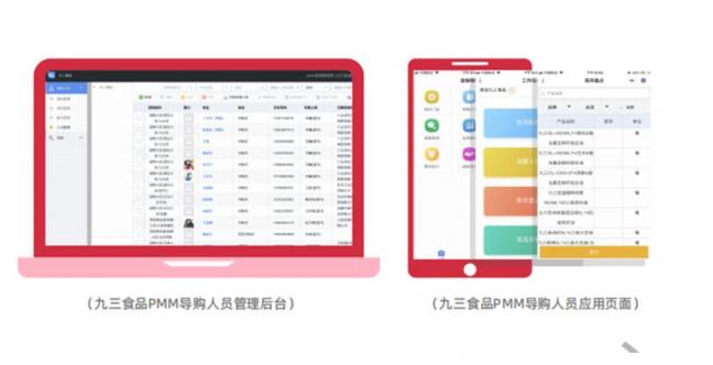 玄訊洞見｜“數(shù)字化”導購大翻身，且看九三食品如何利用數(shù)字化賦能導購管理？