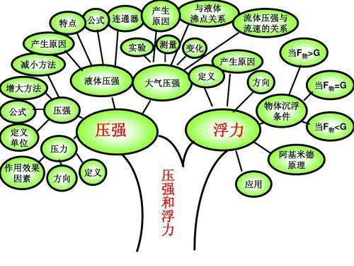 中考學(xué)霸怎樣煉成？“學(xué)習(xí)力”才是關(guān)鍵
