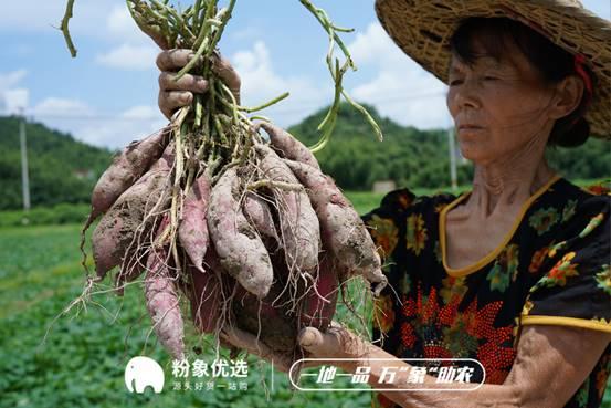 粉象生活助力“電商+消費”，拓寬助農(nóng)致富路