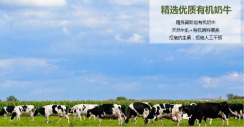 國產有機奶粉如何選擇，專業(yè)寶媽更看好君樂寶優(yōu)萃有機奶粉！