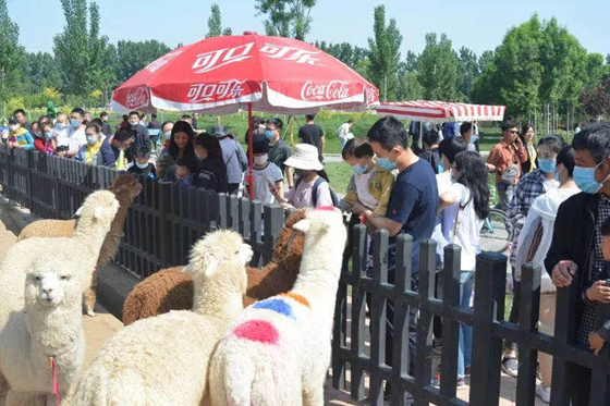 驢跡科技助力衡水野生動物園打造歡樂旅游新名片