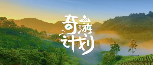 【旅游企業(yè)必看】360旅游行業(yè)助力計(jì)劃來了!