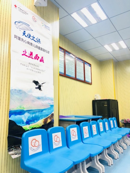 合生元再次走進(jìn)雪域高原 開(kāi)展先心病篩查救助行動(dòng)