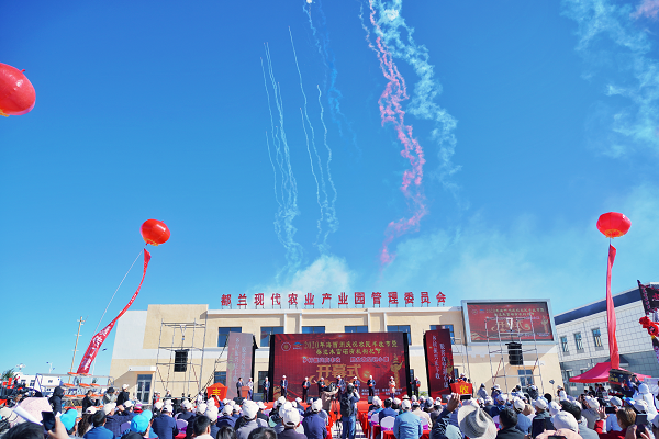 2020海西農(nóng)民豐收節(jié)暨柴達(dá)木富硒有機(jī)枸杞節(jié)在都蘭開幕