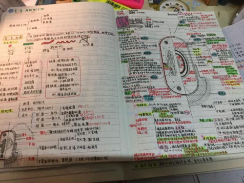 想成為學霸？ 柔宇RoWrite2筆記神器安排上了嗎？