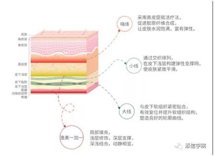 “醫(yī)美之王”愛(ài)美客，能否超越600億華熙生物?