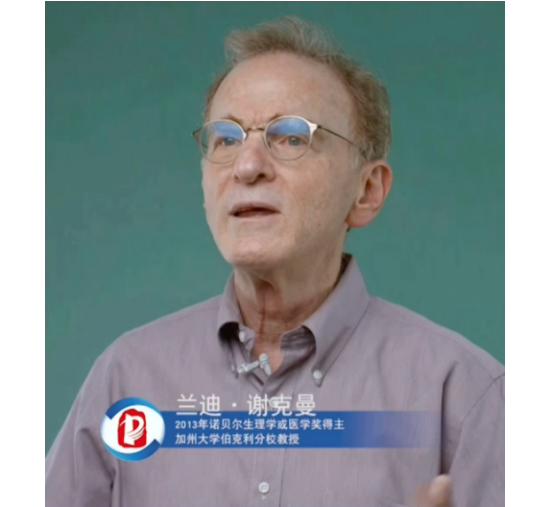 2020中關村論壇開幕，全球科技領袖匯聚，給出關于未來的“參考”答案