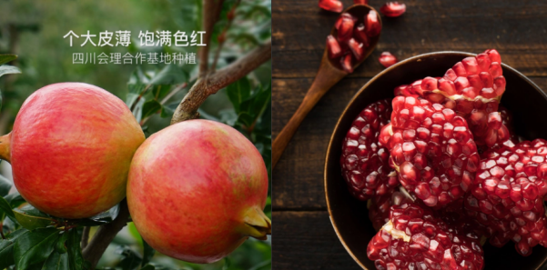 互聯(lián)網(wǎng)新農(nóng)業(yè)，網(wǎng)易嚴(yán)選“尋味中國”扶持中國品質(zhì)農(nóng)貨