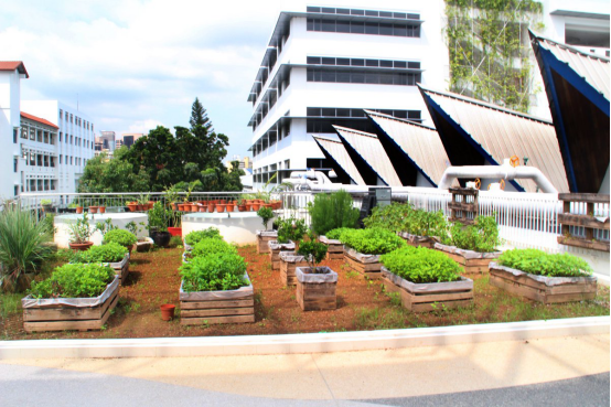 萬物可持續(xù)，共建綠色地球家園