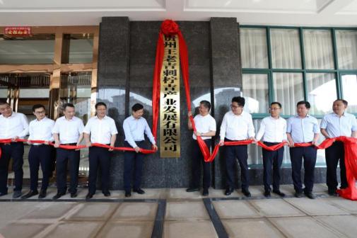 全國(guó)消費(fèi)扶貧月活動(dòng)成果展示發(fā)布會(huì)開(kāi)幕，王老吉扶貧案例現(xiàn)場(chǎng)展出