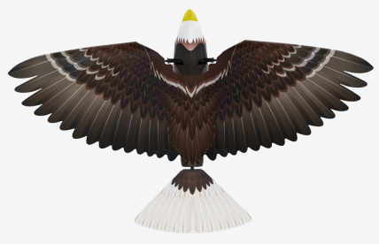漢王仿生撲翼鳥Go Go Bird1000亮相上海玩博會，與萌娃共享仿生AI盛宴！