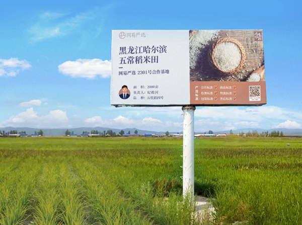 網(wǎng)易嚴(yán)選開售五常有機(jī)稻花香新米，正宗原產(chǎn)地好味，鎖鮮送達(dá)