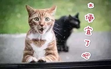 1399元到手蘋果AirPods Pro耳機(jī)，蘇寧雙十一價(jià)格比JD便宜400元！