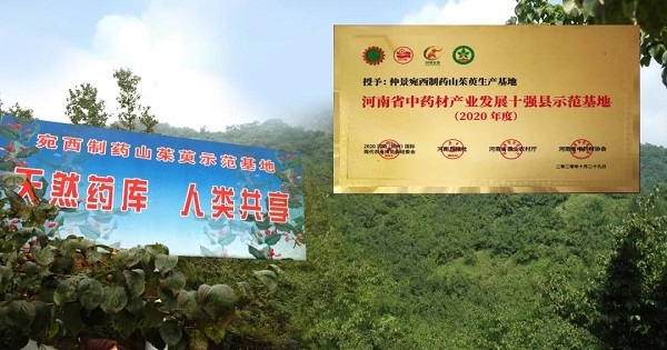 仲景宛西制藥山茱萸基地榮獲“2020河南省中藥材產(chǎn)業(yè)發(fā)展十強縣示范基地” 等榮譽