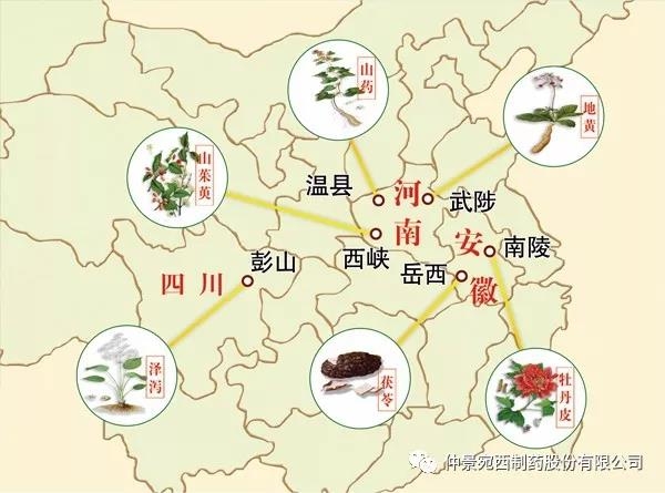 仲景宛西制藥山茱萸基地榮獲“2020河南省中藥材產(chǎn)業(yè)發(fā)展十強縣示范基地” 等榮譽