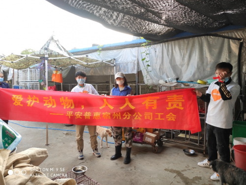 關(guān)愛流浪動(dòng)物 讓生命不再流浪 —平安普惠安徽宿州分公司暖冬行動(dòng)
