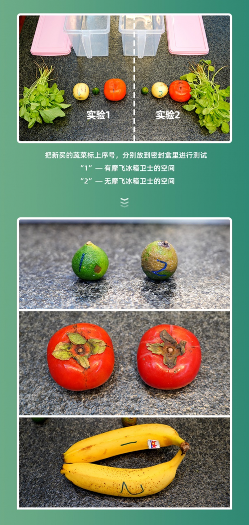冰箱除味器有必要買嗎？首先這些冰箱知識需要了解