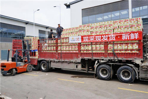 零售云+拼購，蘇寧雙十一深挖下沉市場價值