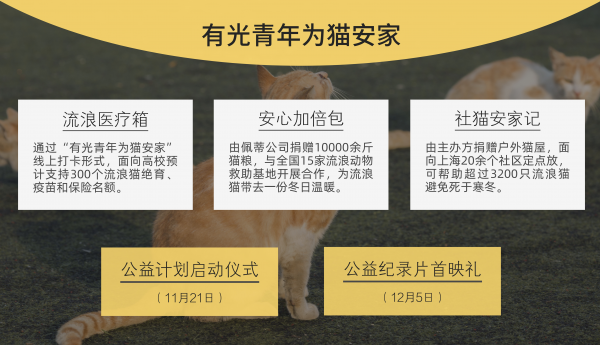 有光青年為貓安家正式啟動，讓流浪星球更溫暖