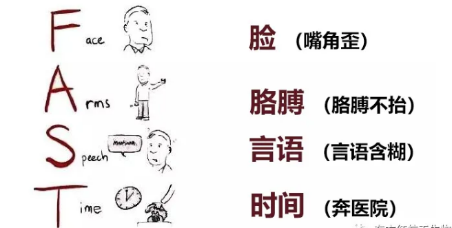 世界卒中日，東方紅航天生物帶你了解腦卒中是如何發(fā)生的