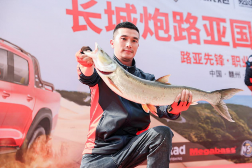 長(zhǎng)城皮卡年銷(xiāo)突破20萬(wàn)，強(qiáng)勢(shì)出擊廣州車(chē)展