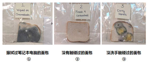 寒冬有艾詩摩爾掌中衛(wèi)士護(hù)手儀，為健康護(hù)航無懼手傷！