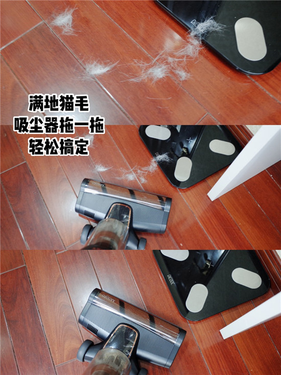 萊克立式吸塵器，助力鏟屎官輕松應(yīng)對(duì)養(yǎng)寵煩惱