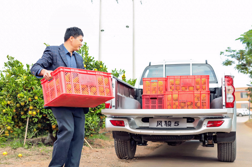 民生車典范，揭秘風(fēng)駿5受歡迎原因
