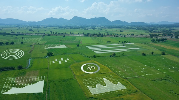 達(dá)摩院2021十大科技趨勢：工業(yè)、農(nóng)業(yè)、城市全面邁向智能時代