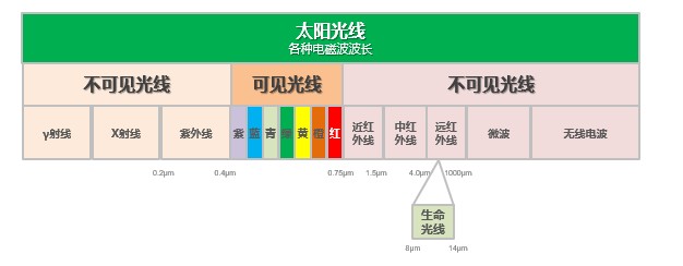 遠(yuǎn)紅外電飯煲成為新趨勢，蘇泊爾推動行業(yè)升級