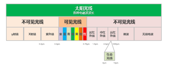 電飯煲只有日本的好？蘇泊爾電飯煲更懂中國(guó)人的胃