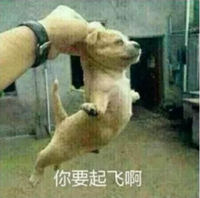 成人線上興趣班成新亮點，在線教育行業(yè)全面開花