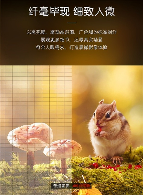 看電影何必去影院？卡薩帝發(fā)布M150電視，把智慧影院帶回家
