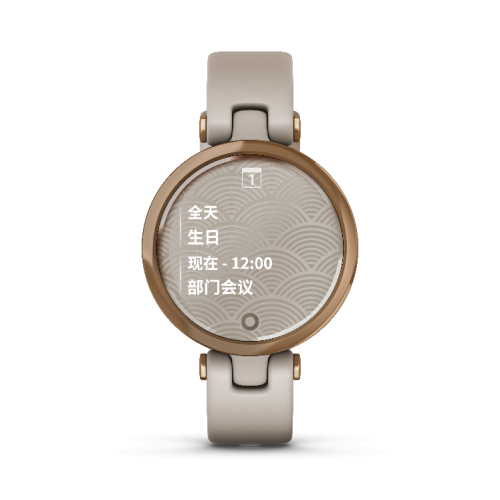 Garmin佳明布局女性市場(chǎng)，攜新品Lily優(yōu)雅腕表上市