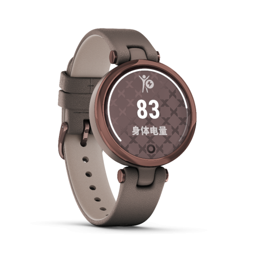 Garmin佳明布局女性市場(chǎng)，攜新品Lily優(yōu)雅腕表上市