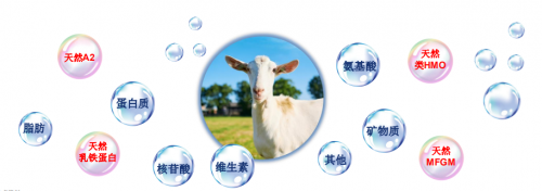 嬰兒奶粉排行榜十強，佳貝艾特再入圍盡顯大牌風(fēng)范