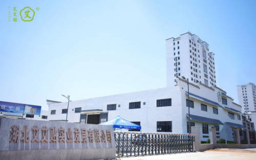 政企聯(lián)合興千年艾業(yè)，艾艾貼產業(yè)蓬勃正當時