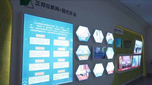 華為云，助力正邦養(yǎng)殖邁入數(shù)字化時(shí)代