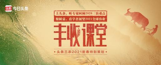 聚焦2020年度三農(nóng)關(guān)鍵詞，頭條上線新春特別策劃《豐收課堂》