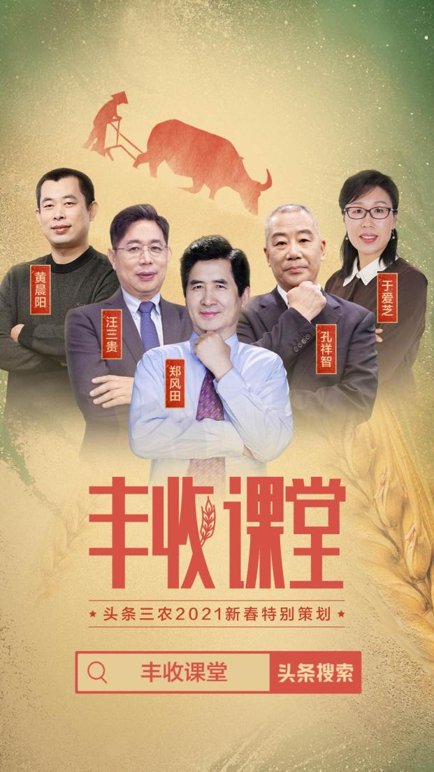 聚焦2020年度三農(nóng)關(guān)鍵詞，頭條上線新春特別策劃《豐收課堂》