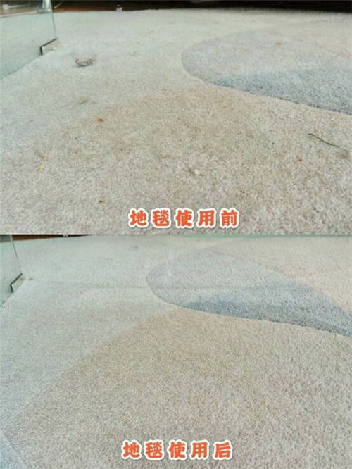 ?貓咪養(yǎng)成日記｜這個清理貓毛的小技巧你知道嗎？