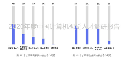 2020年度中國(guó)計(jì)算機(jī)視覺(jué)人才調(diào)研報(bào)告重磅出爐