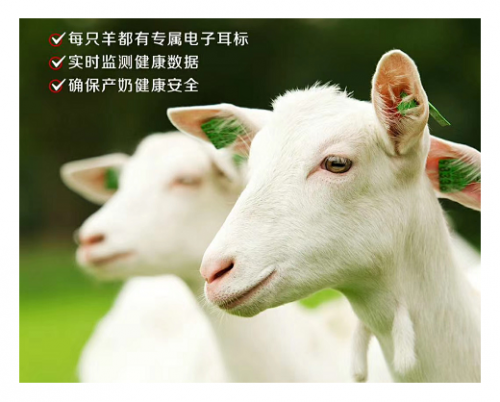 羊奶粉排行首位佳貝艾特，三大優(yōu)勢展現(xiàn)領(lǐng)軍者風(fēng)采