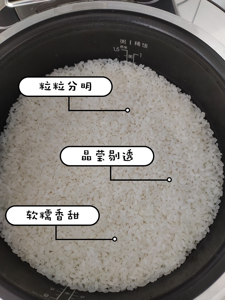 我們對蘇泊爾電飯煲進(jìn)行了評測：顏值當(dāng)?shù)?實(shí)力不俗