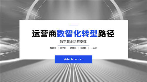 【運(yùn)營(yíng)商數(shù)智化轉(zhuǎn)型路徑】思特奇數(shù)字政企：一站式支撐體系