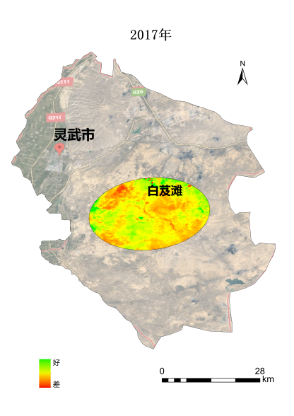 植樹(shù)節(jié)添新綠，平安科技展示“百萬(wàn)植樹(shù)計(jì)劃”階段性成果