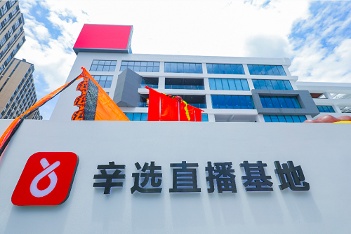 辛巴透露辛選2021年規(guī)劃和調(diào)整方向：規(guī)范化、專業(yè)化、去辛巴化