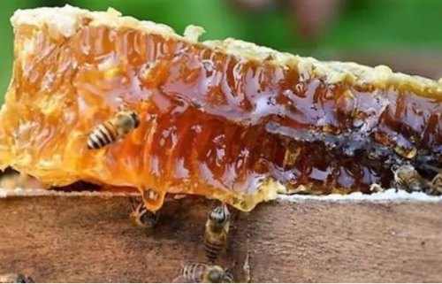 一派食品引領(lǐng)“創(chuàng)新生產(chǎn)”新趨勢