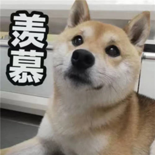 西人馬2021春季校園招聘開啟，優(yōu)秀的你快看向這里